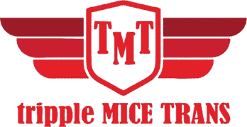 TMT Logo